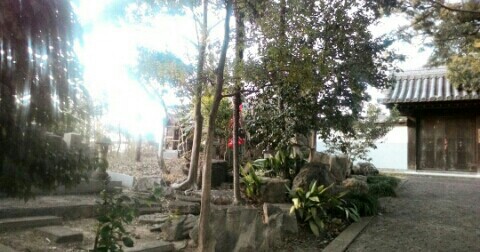 f:id:chiichii5116:20160221192847j:image f:id:chiichii5116:20160221192847j:image