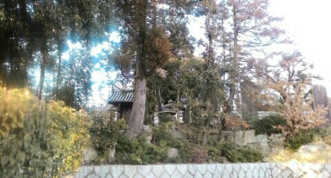 f:id:chiichii5116:20160221202612j:image f:id:chiichii5116:20160221202612j:image