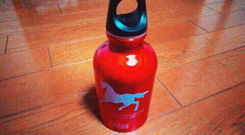 f:id:chiichii5116:20160305232154j:image f:id:chiichii5116:20160305232154j:image