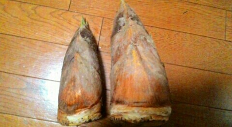 f:id:chiichii5116:20160413084508j:image f:id:chiichii5116:20160413084508j:image