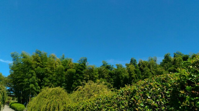 f:id:chiichii5116:20160821122108j:image f:id:chiichii5116:20160821122108j:image