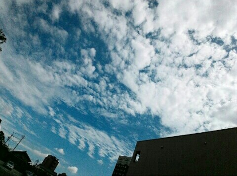 f:id:chiichii5116:20160828084118j:image f:id:chiichii5116:20160828084118j:image