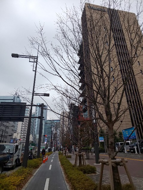 f:id:chiichii555:20181211114311j:image