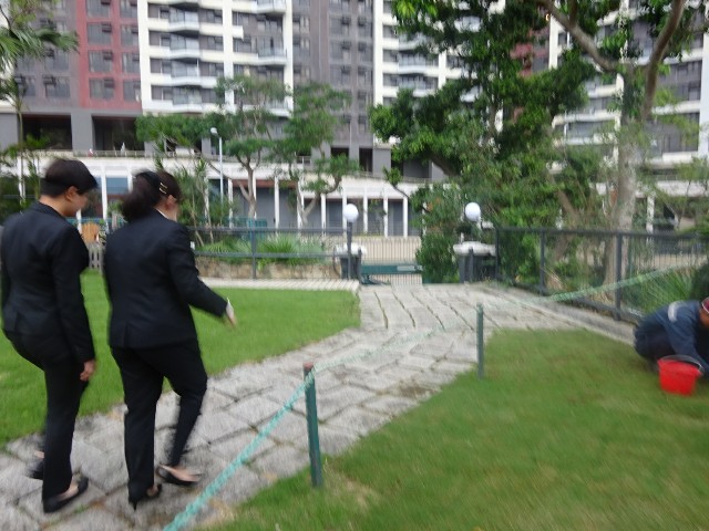 f:id:chiichii555:20190618033551j:image