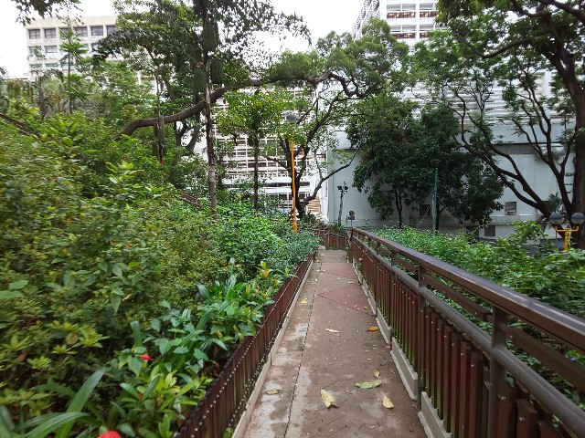 f:id:chiichii555:20190618034928j:image