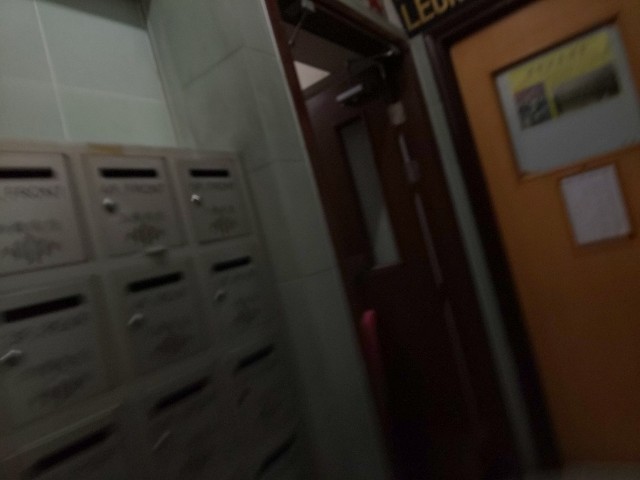 f:id:chiichii555:20190618041049j:image
