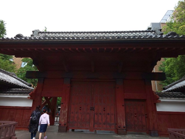 f:id:chiichii555:20190623203910j:image