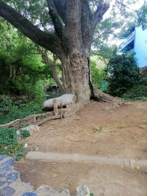 f:id:chiichii555:20190808031509j:image