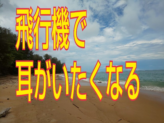f:id:chiichii555:20190813160431j:plain