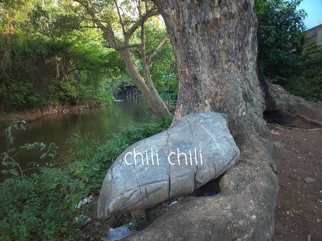 f:id:chiichii555:20190822080124j:plain