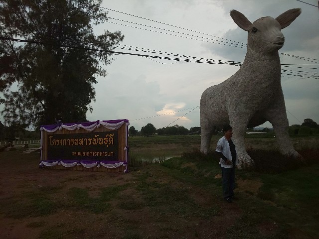 f:id:chiichii555:20190903121250j:plain