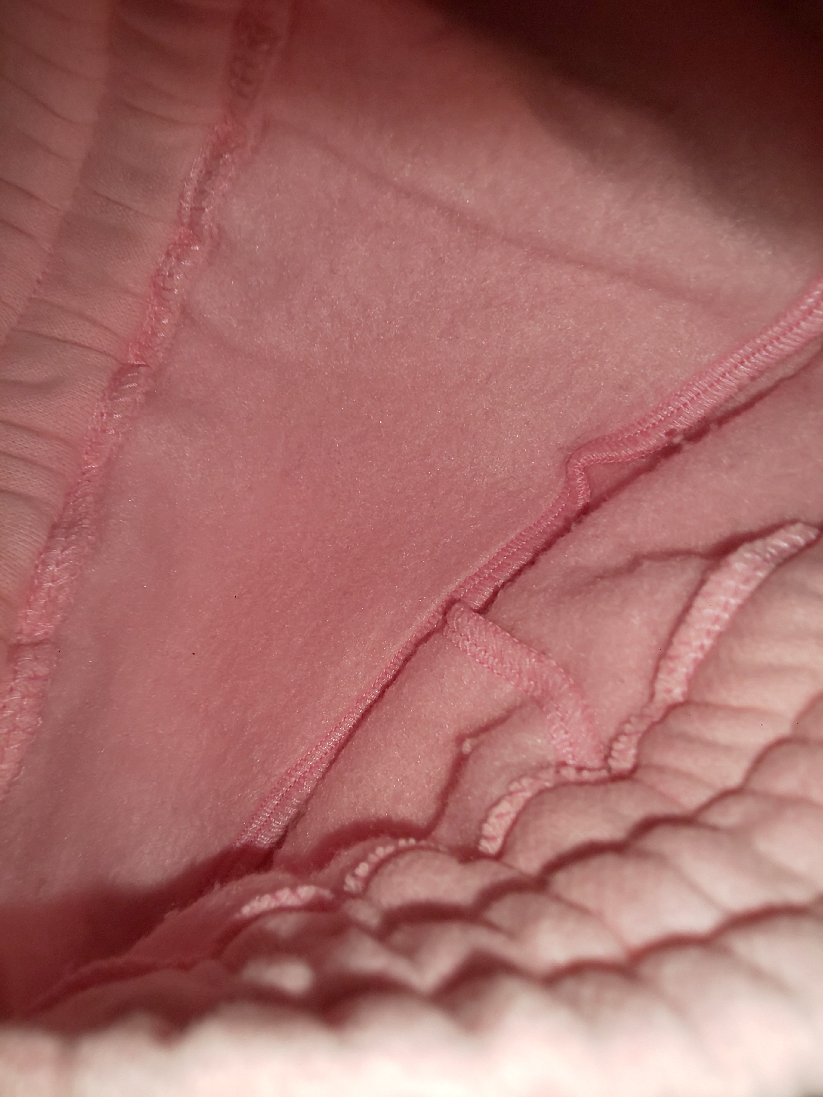 f:id:chiichii555:20201212140556j:image