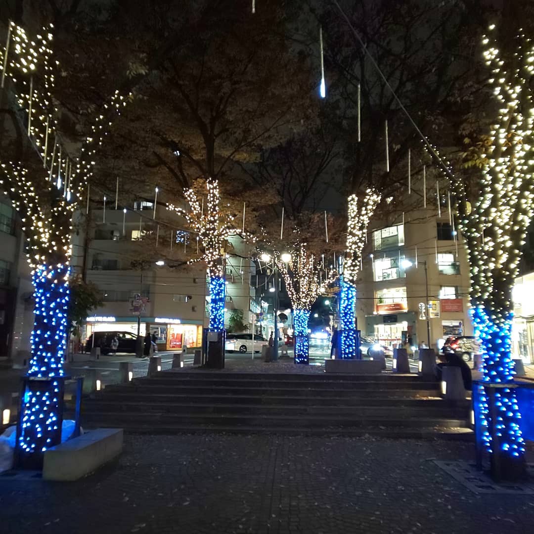 f:id:chiichii555:20201214234717j:image