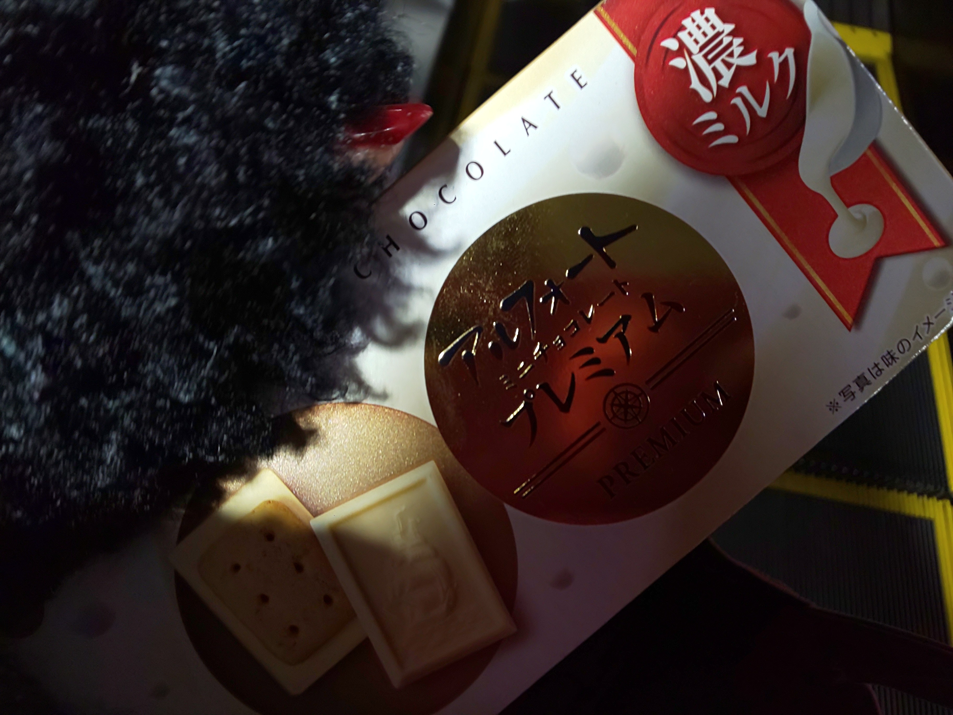 f:id:chiichii555:20201224230921j:image