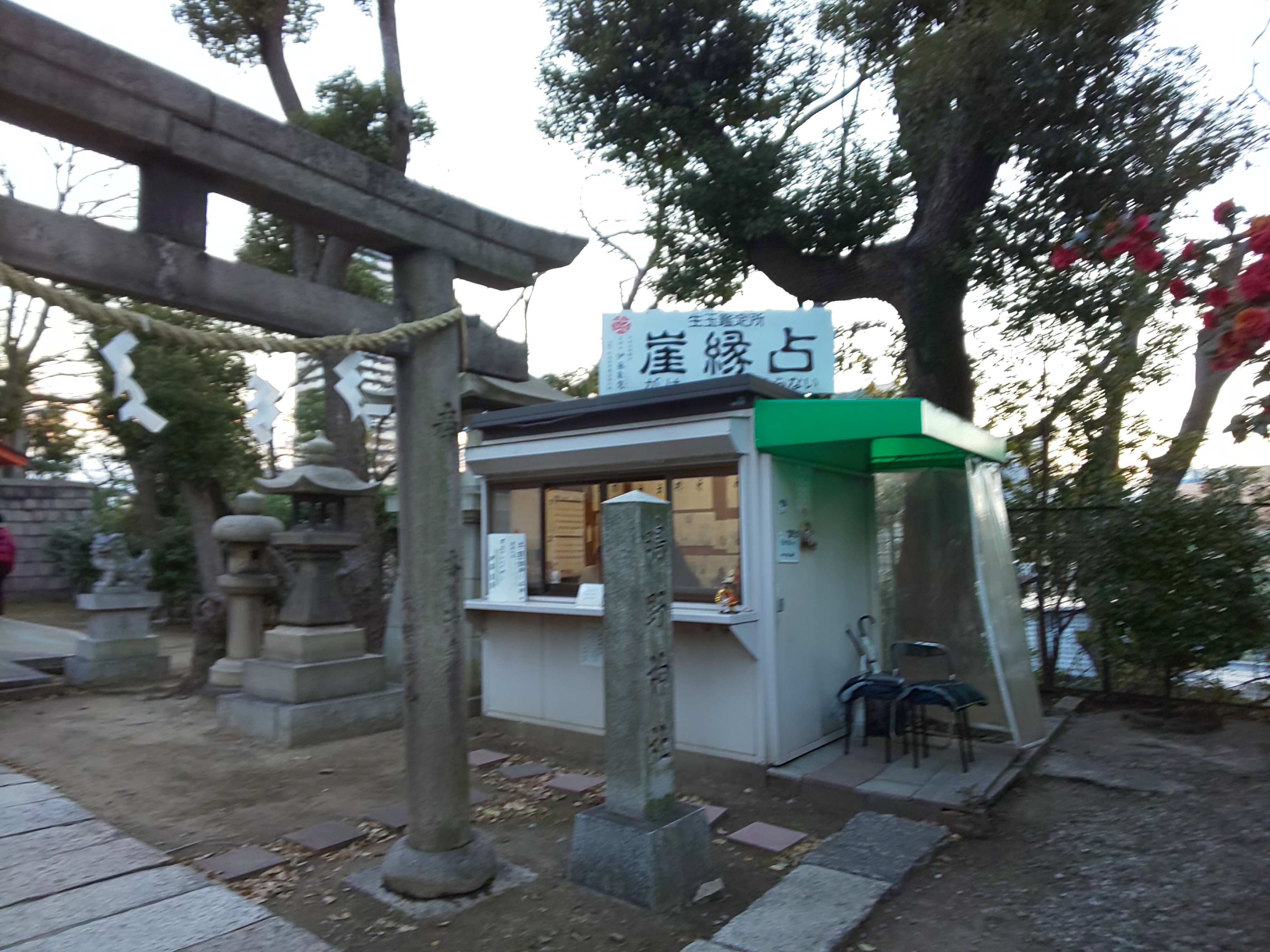 f:id:chiichii555:20210103043434j:image f:id:chiichii555:20210103043434j:image