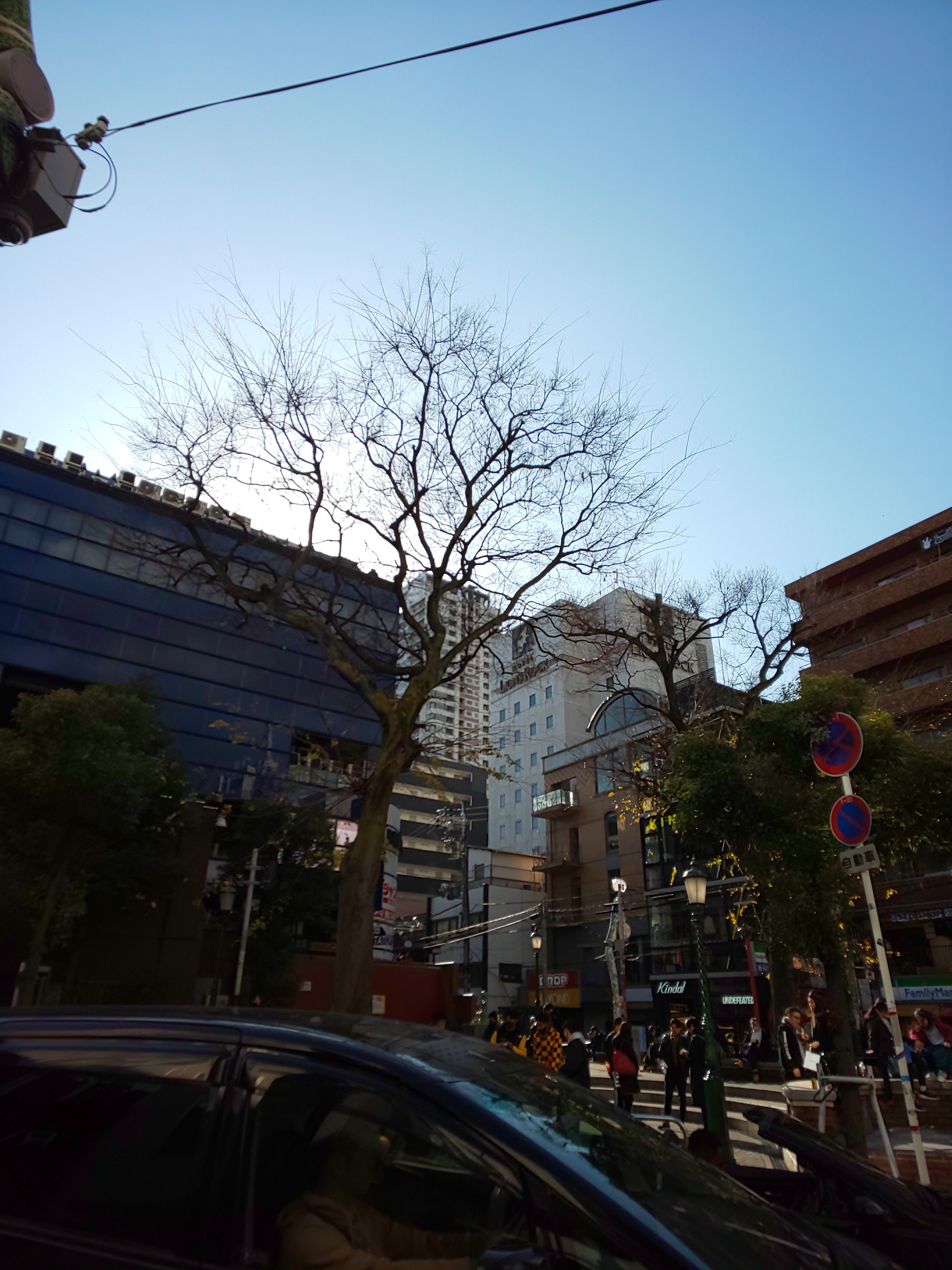 f:id:chiichii555:20210103174155j:image f:id:chiichii555:20210103174155j:image