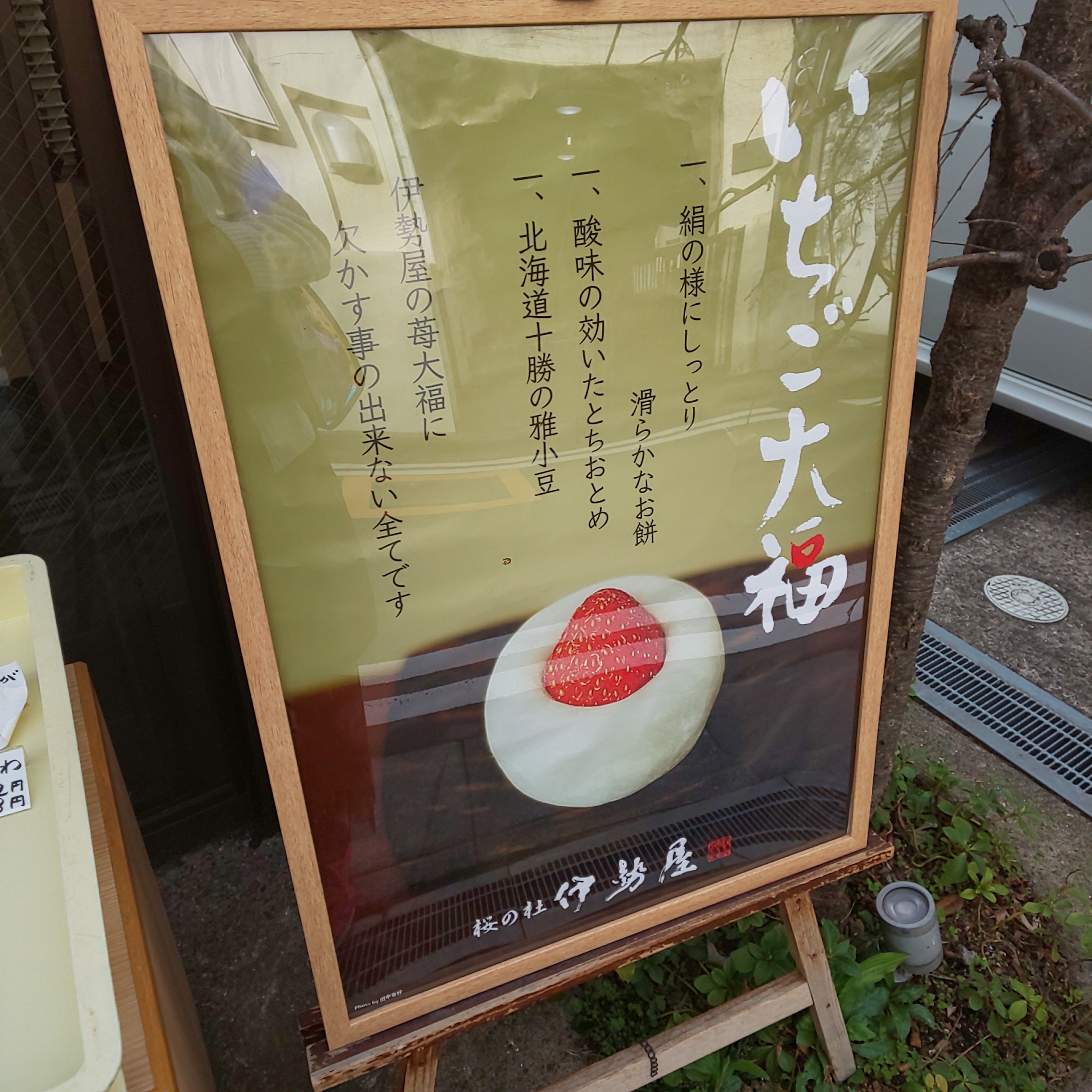 f:id:chiichii555:20210317164411j:image