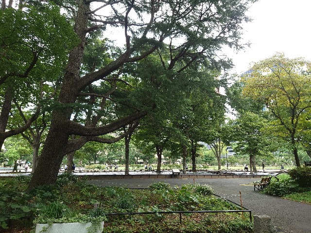 f:id:chiichii555:20220910160124j:image