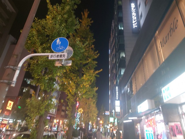 f:id:chiichii555:20221210133657j:image