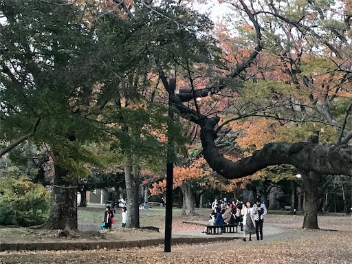 代々木公園ランニング 天才スケボーわんちゃんと再会 ランとらコラム