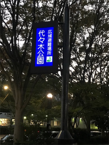 代々木公園ランニング 天才スケボーわんちゃんと再会 ランとらコラム