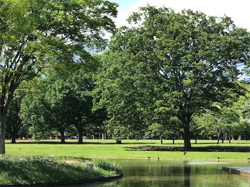 代々木公園ランニング まん延防止措置によりメインのエリアは立ち入り禁止 ランとらコラム