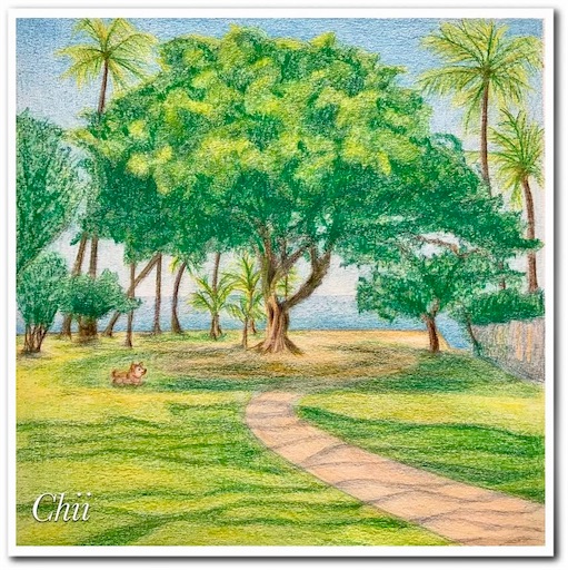 ハワイの絵を描きました〜カピオラニ公園ランニング〜 - ランとらコラム