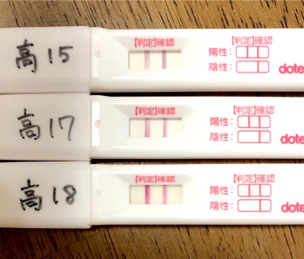 f:id:chiii316:20190425063417j:image