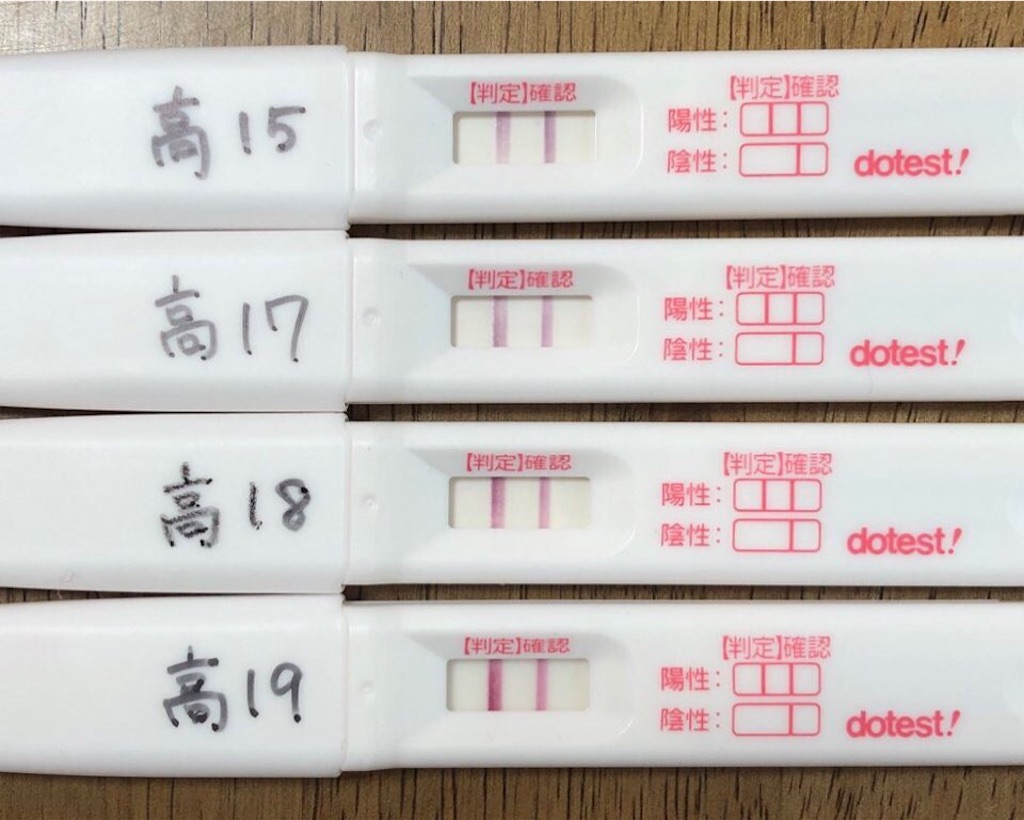 f:id:chiii316:20190426093746j:image f:id:chiii316:20190426093746j:image