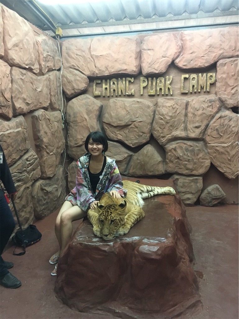 f:id:chiiise999:20190310140410j:image