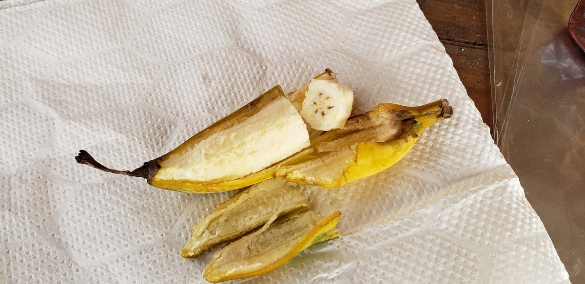 f:id:chiikidotcom:20191024170204j:plain