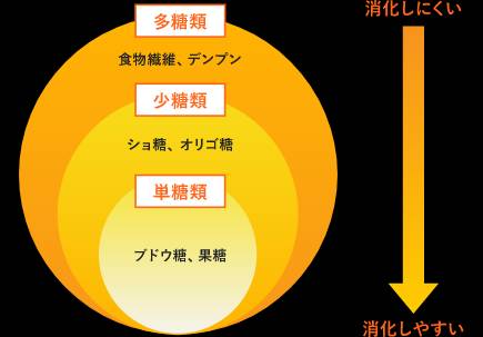 f:id:chiikidotcom:20200501221635j:plain