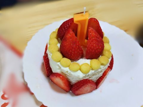 離乳食ケーキ