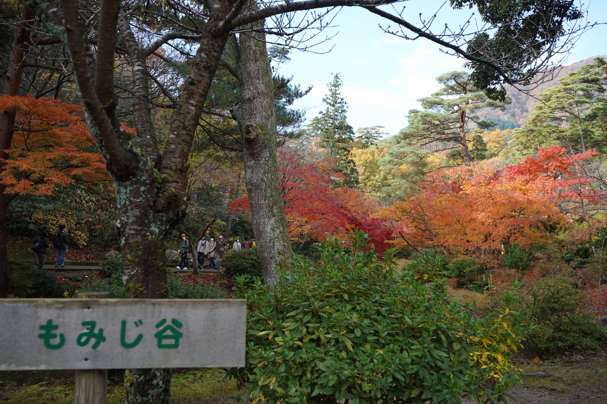 f:id:chiiryo:20201123113844j:plain