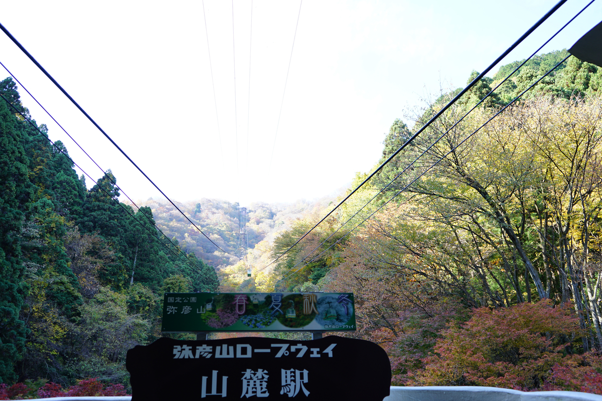 f:id:chiiryo:20201123135609j:plain