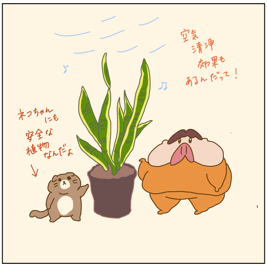 f:id:chiisakiobu:20211011194828p:image f:id:chiisakiobu:20211011194828p:image