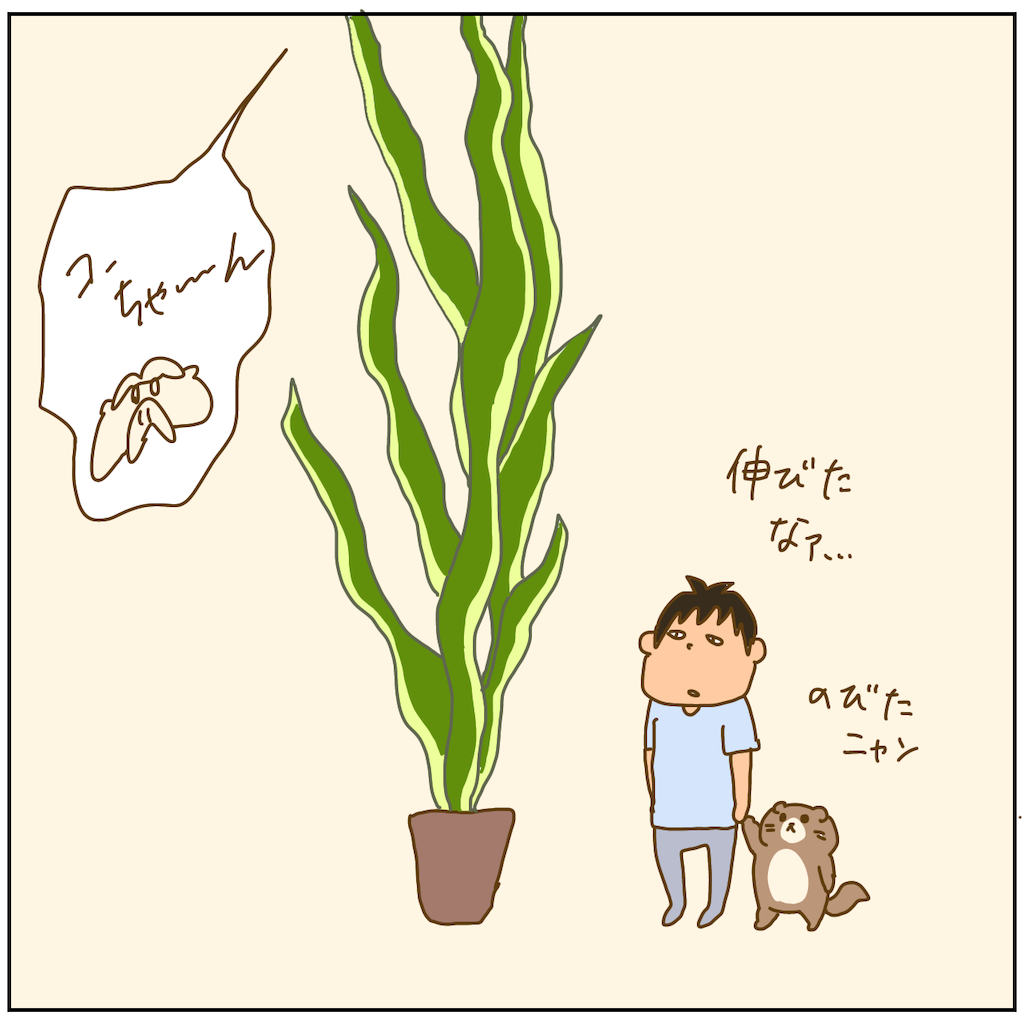 f:id:chiisakiobu:20211011195009p:image f:id:chiisakiobu:20211011195009p:image