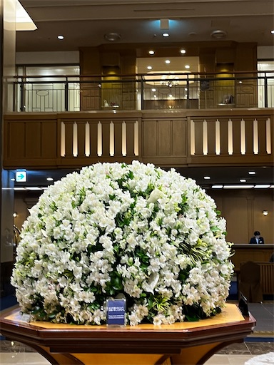 f:id:chiisanahohoemi:20250707080502j:image