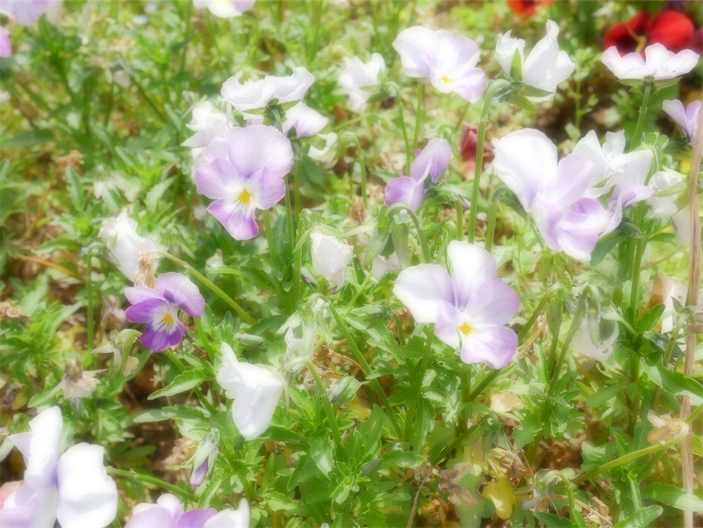 f:id:chiisanajikan2019:20210121062141j:image