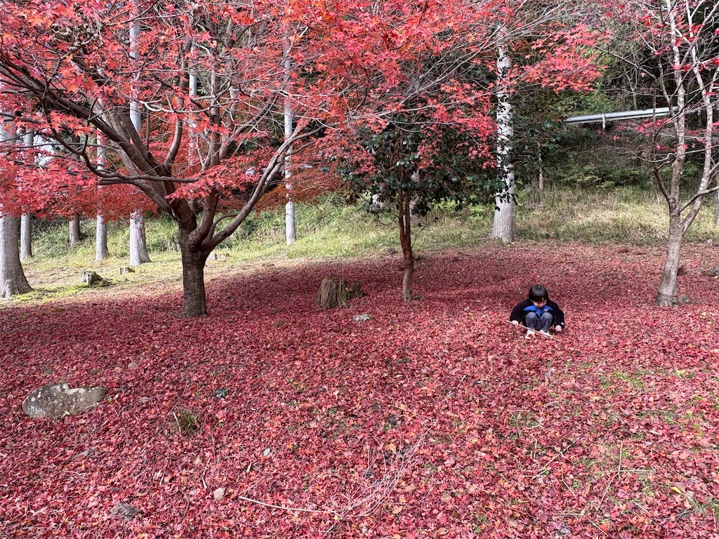 f:id:chiisaxtrip:20241203092732j:image