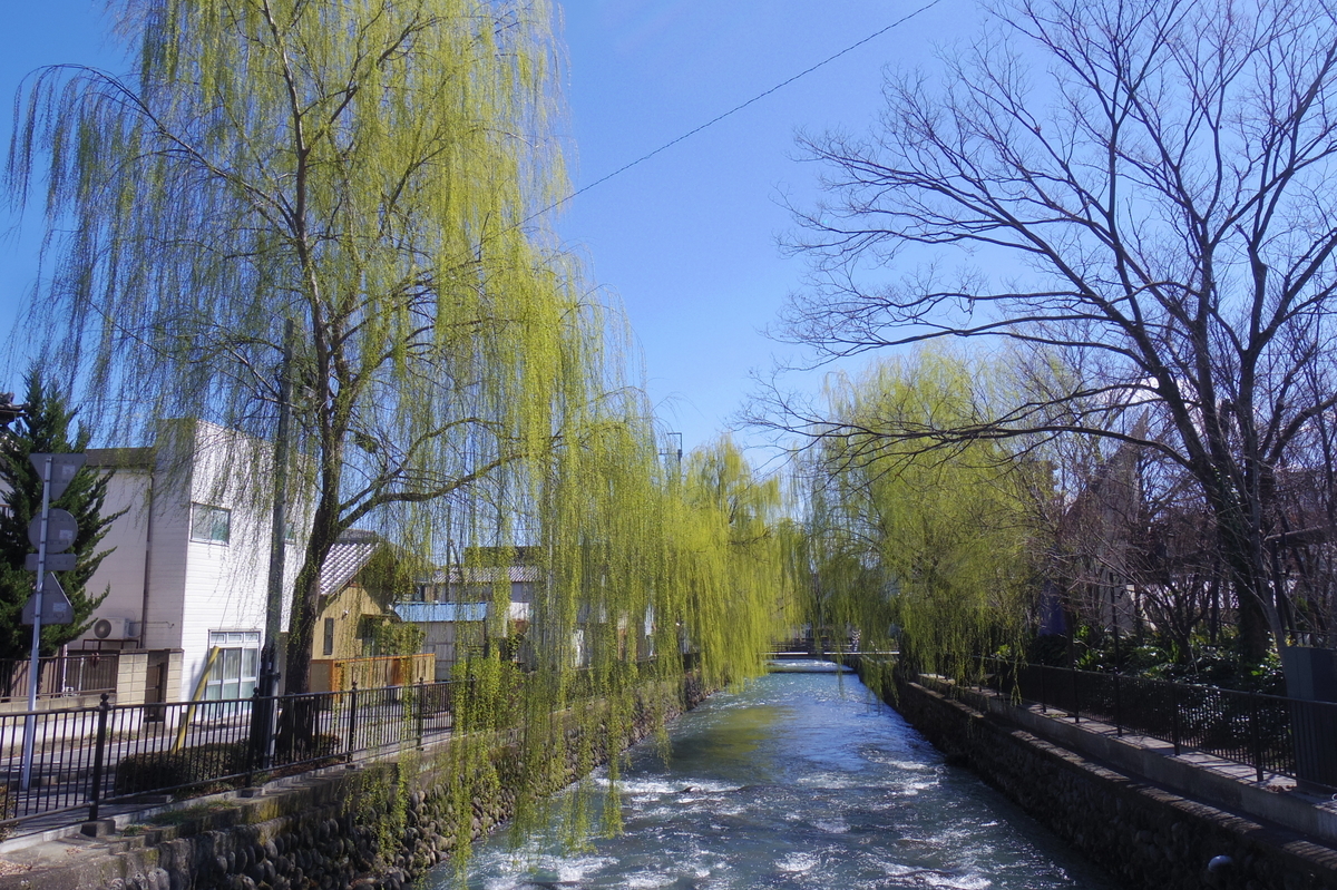 心憂しども旅路は続く