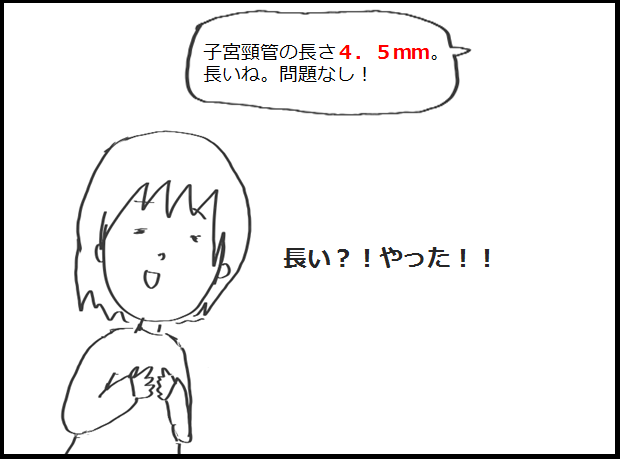 f:id:chiitama:20170609011322p:plain