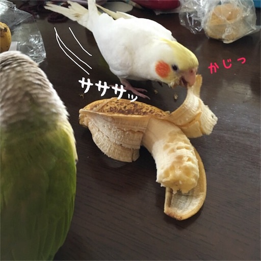 f:id:chiitan7:20170614113531j:image