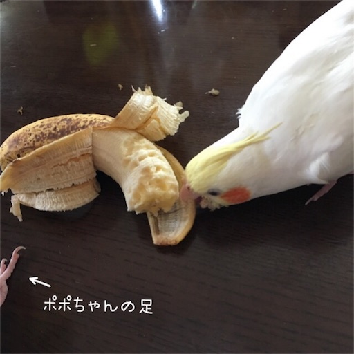 f:id:chiitan7:20170614113749j:image