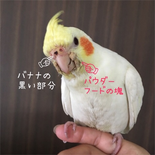 f:id:chiitan7:20170614114418j:image