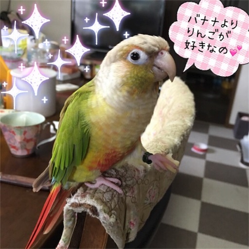 f:id:chiitan7:20170614165750j:image