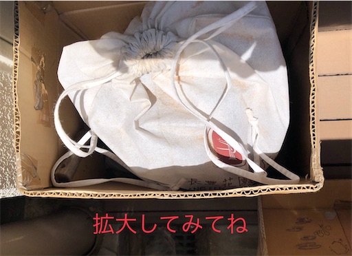 f:id:chiiwaka:20230503183054j:image