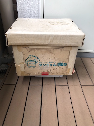 f:id:chiiwaka:20230527102821j:image