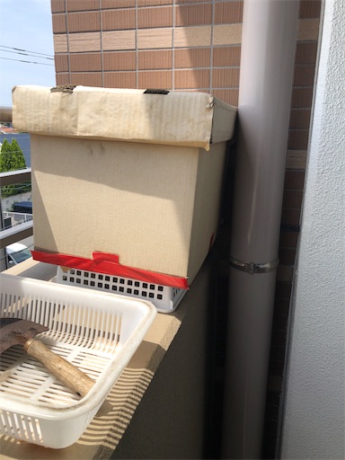 f:id:chiiwaka:20230527103319j:image