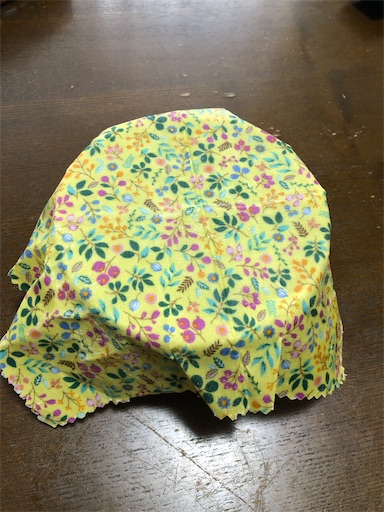 f:id:chiiwaka:20230607102057j:image